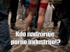 Kdo nadzoruje porno industrijo!?