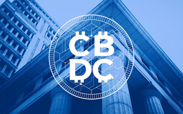 Prof. Richard Werner: CBDC – Vaša prihodnost se odloča | Ivor Cummins